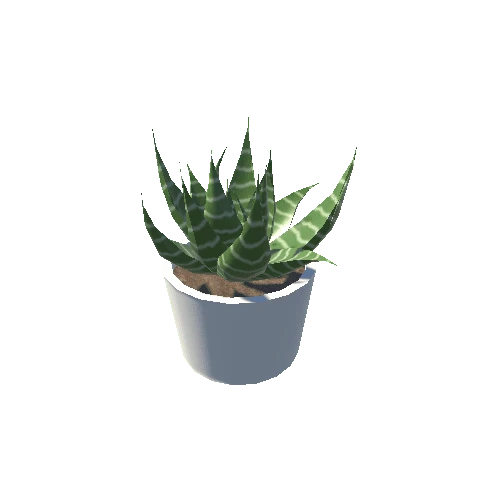 Plant 6